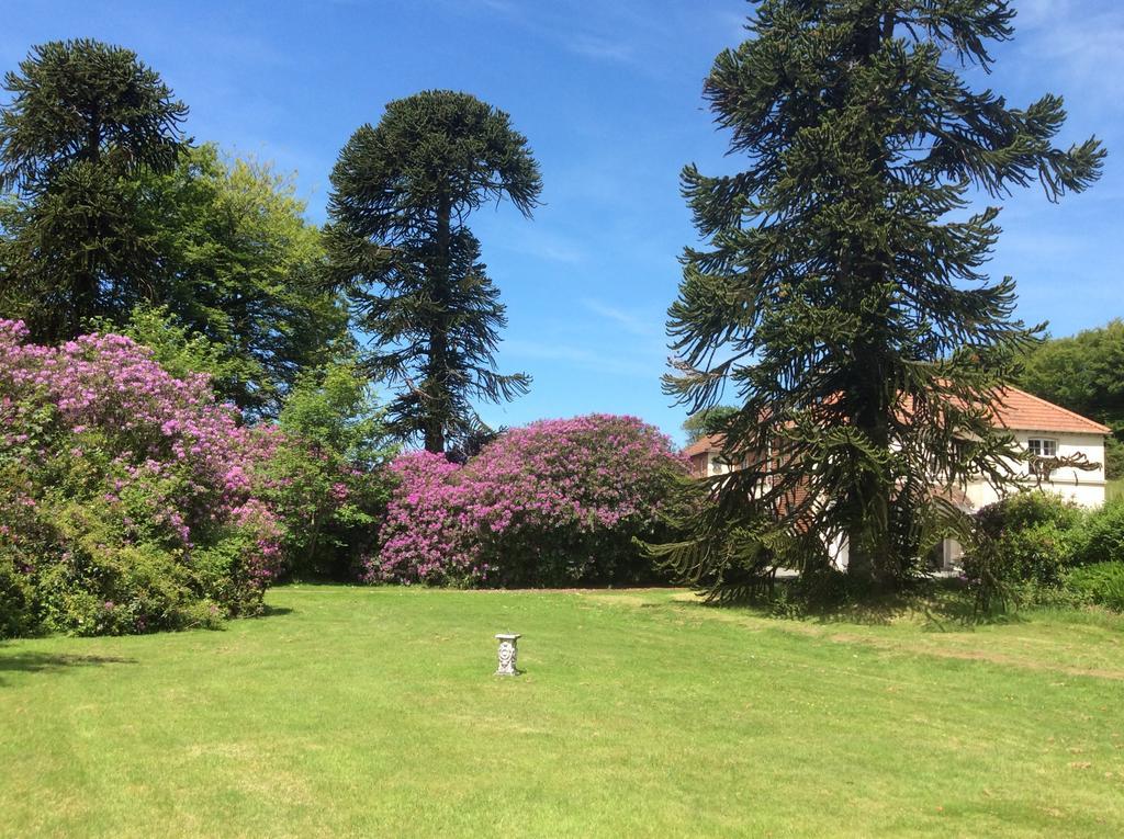 Moorlands Parracombe Exterior foto