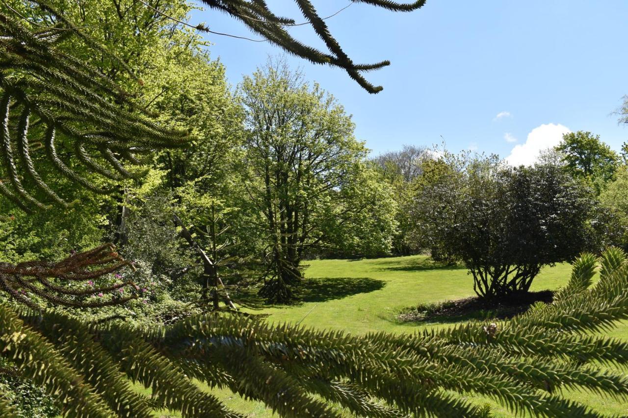 Moorlands Parracombe Exterior foto