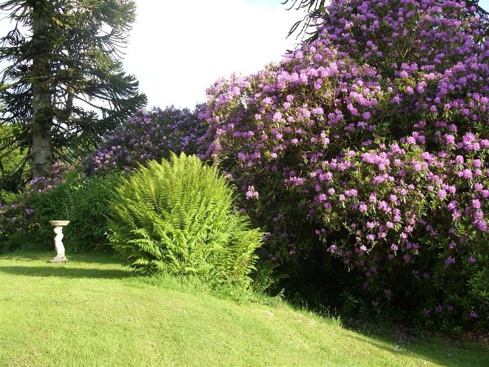 Moorlands Parracombe Exterior foto