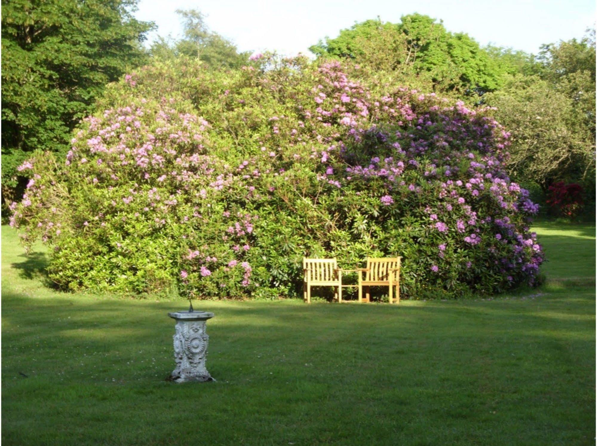 Moorlands Parracombe Exterior foto